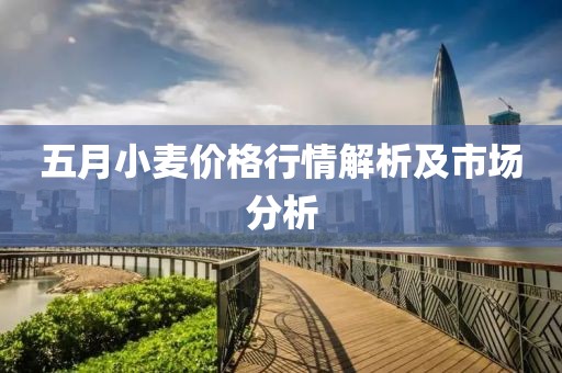 五月小麦价格行情解析及市场分析