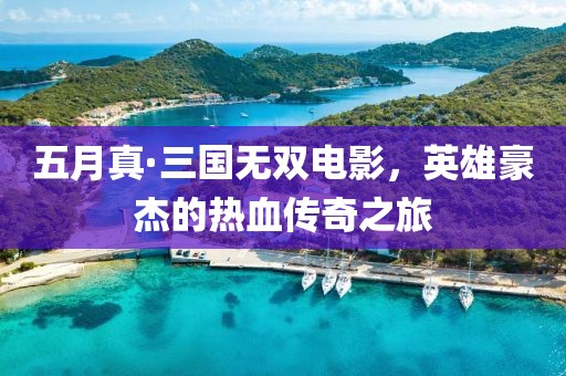 五月真·三国无双电影，英雄豪杰的热血传奇之旅