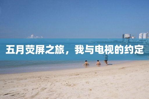 五月荧屏之旅，我与电视的约定