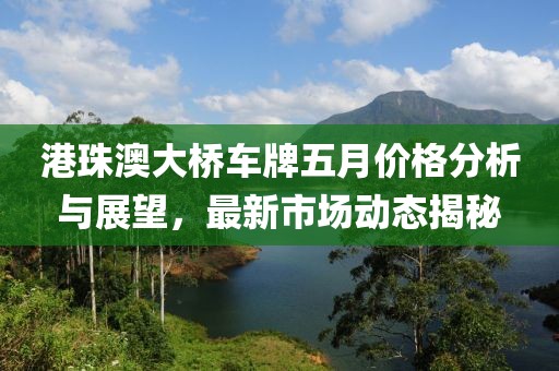 港珠澳大桥车牌五月价格分析与展望，最新市场动态揭秘