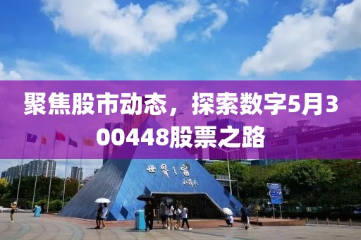 聚焦股市动态，探索数字5月300448股票之路