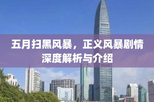 五月扫黑风暴，正义风暴剧情深度解析与介绍