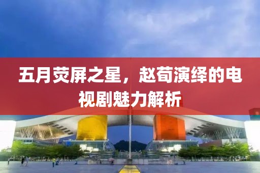 五月荧屏之星，赵荀演绎的电视剧魅力解析