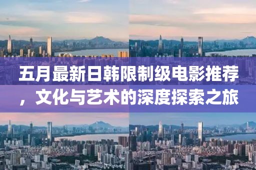 五月最新日韩限制级电影推荐，文化与艺术的深度探索之旅