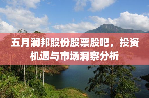 五月润邦股份股票股吧，投资机遇与市场洞察分析