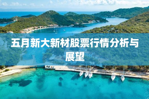 五月新大新材股票行情分析与展望