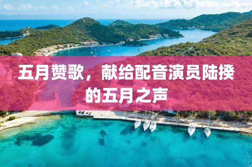 五月赞歌，献给配音演员陆揆的五月之声