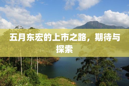五月东宏的上市之路，期待与探索