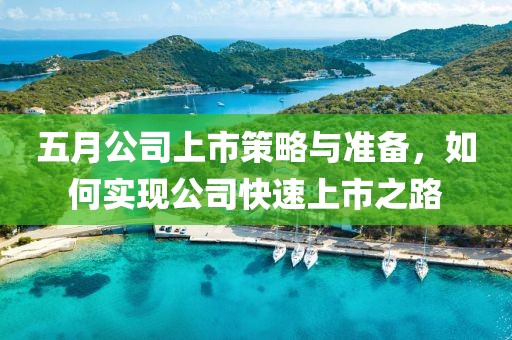五月公司上市策略与准备，如何实现公司快速上市之路