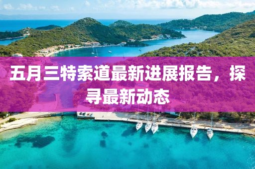 五月三特索道最新进展报告，探寻最新动态