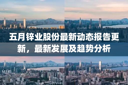 五月锌业股份最新动态报告更新，最新发展及趋势分析