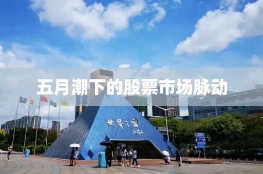 五月潮下的股票市场脉动