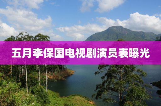 五月李保国电视剧演员表曝光