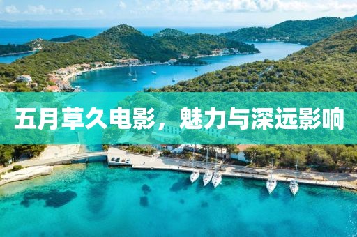 五月草久电影，魅力与深远影响