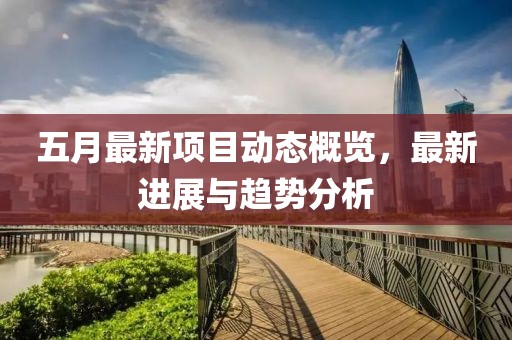 五月最新项目动态概览，最新进展与趋势分析