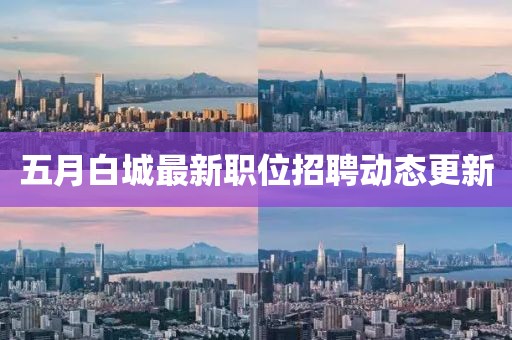五月白城最新职位招聘动态更新