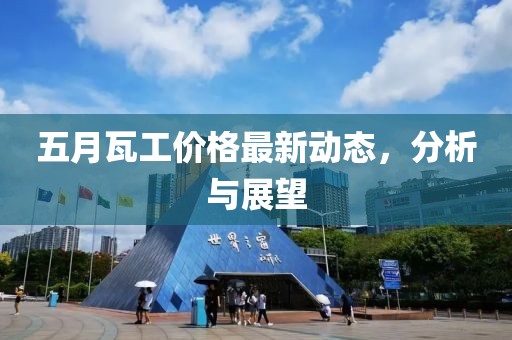 五月瓦工价格最新动态，分析与展望