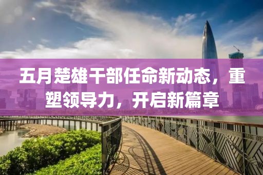 五月楚雄干部任命新动态，重塑领导力，开启新篇章