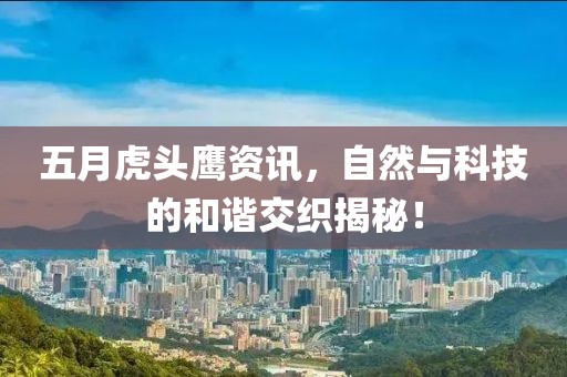 五月虎头鹰资讯，自然与科技的和谐交织揭秘！