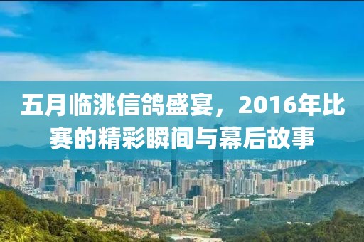 五月临洮信鸽盛宴，2016年比赛的精彩瞬间与幕后故事