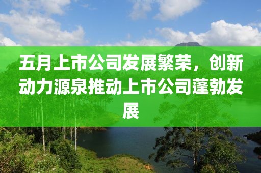 五月上市公司发展繁荣，创新动力源泉推动上市公司蓬勃发展