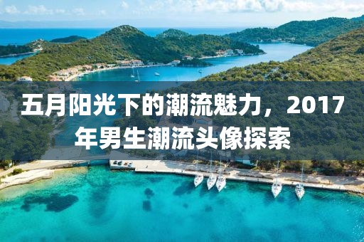 五月阳光下的潮流魅力，2017年男生潮流头像探索