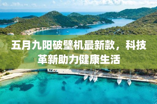 五月九阳破壁机最新款，科技革新助力健康生活