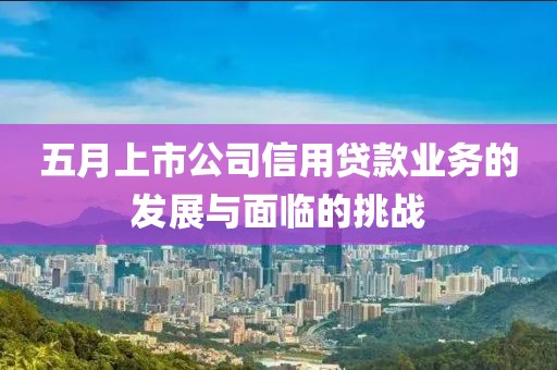 五月上市公司信用贷款业务的发展与面临的挑战