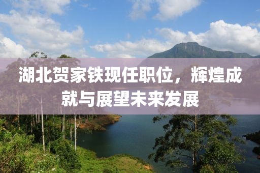 湖北贺家铁现任职位，辉煌成就与展望未来发展