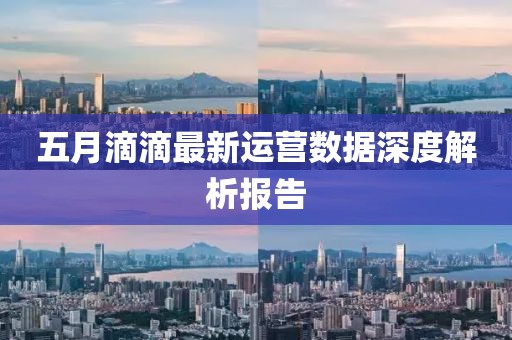 五月滴滴最新运营数据深度解析报告