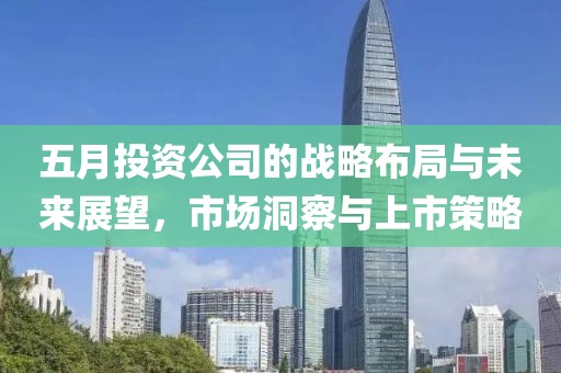 五月投资公司的战略布局与未来展望，市场洞察与上市策略