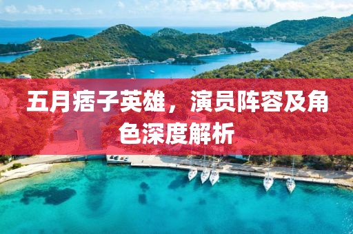 五月痞子英雄，演员阵容及角色深度解析