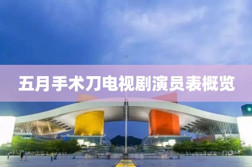 五月手术刀电视剧演员表概览
