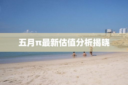 五月π最新估值分析揭晓