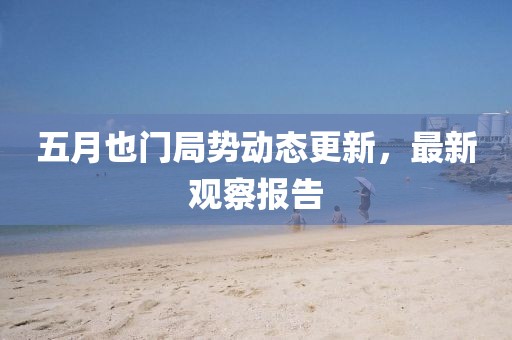 五月也门局势动态更新，最新观察报告