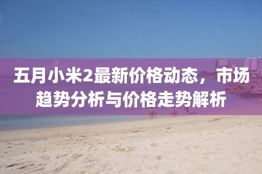 五月小米2最新价格动态，市场趋势分析与价格走势解析