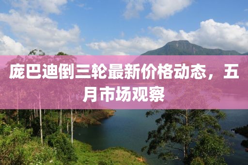 庞巴迪倒三轮最新价格动态，五月市场观察