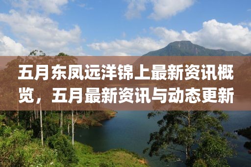 五月东凤远洋锦上最新资讯概览，五月最新资讯与动态更新
