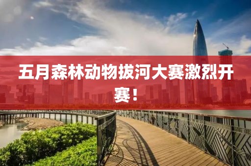 五月森林动物拔河大赛激烈开赛！