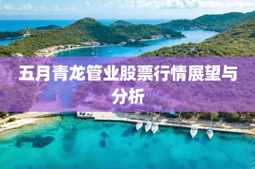 五月青龙管业股票行情展望与分析