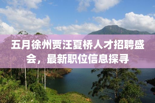 五月徐州贾汪夏桥人才招聘盛会，最新职位信息探寻