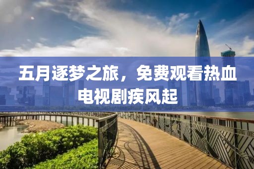五月逐梦之旅，免费观看热血电视剧疾风起