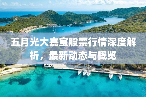 五月光大嘉宝股票行情深度解析，最新动态与概览
