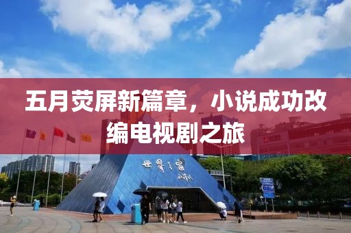 五月荧屏新篇章，小说成功改编电视剧之旅