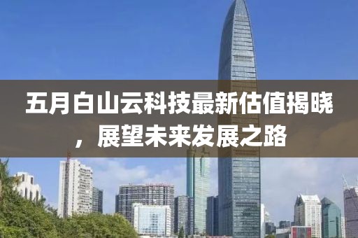 五月白山云科技最新估值揭晓，展望未来发展之路