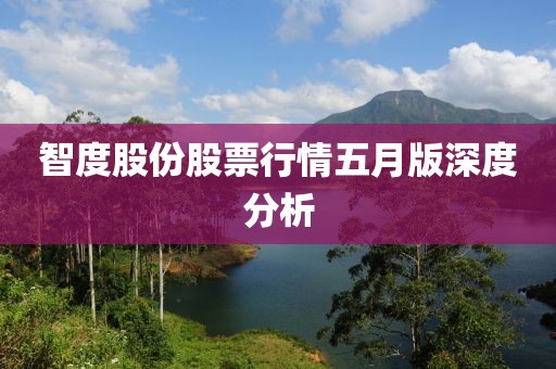 智度股份股票行情五月版深度分析