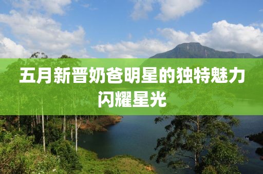 五月新晋奶爸明星的独特魅力闪耀星光